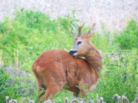 DSCN5324.JPG