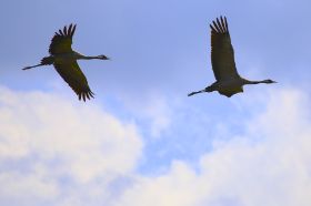 IMG_2420.JPG