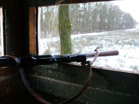 Fuchsjagd30.01.2010_39.JPG