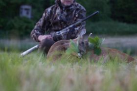 IMG_6746.jpg
