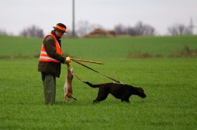 IMG_4555.JPG
