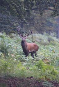 IMG_3888 - Arbeitskopie 2 (1).jpg